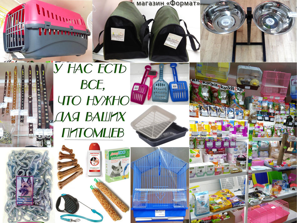 Зоо на сайт.jpg